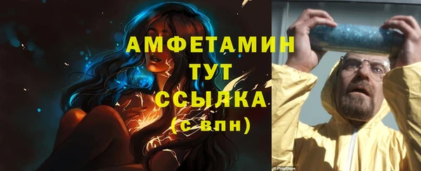 гидра Арсеньев