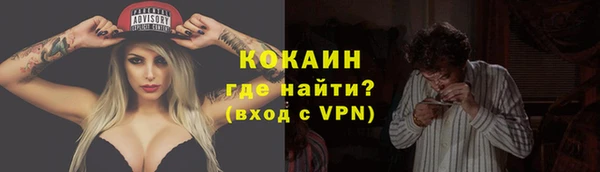 гидра Арсеньев