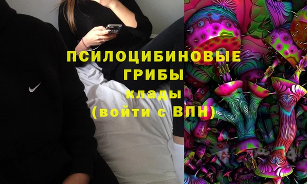 гидра Арсеньев