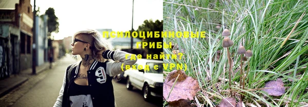 гидра Арсеньев