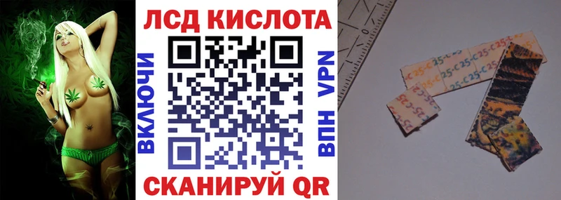 где найти   Бакал  Марки NBOMe 1500мкг 